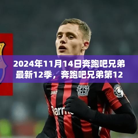 奔跑吧兄弟第12季，友情跑动中的温暖时光（最新消息，日期揭晓）