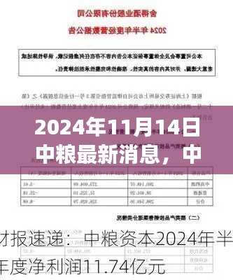 中粮最新动态速递，深度解读中粮最新消息与动态，2024年11月14日更新