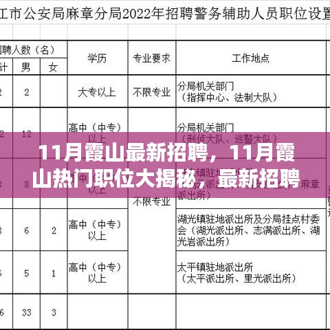 11月霞山招聘热点解析，热门职位揭秘与最新招聘趋势求职指南