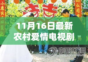 鹤立鸡群 第6页