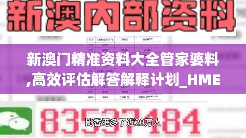 新澳门精准资料大全管家婆料,高效评估解答解释计划_HME7.62.47沉浸版