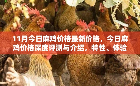 只争朝夕 第7页