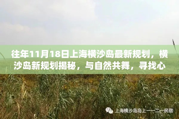 横沙岛新规划揭秘，与自然共舞的心灵静谧之旅（最新规划概览）