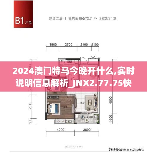 2024澳门特马今晚开什么,实时说明信息解析_JNX2.77.75快捷版