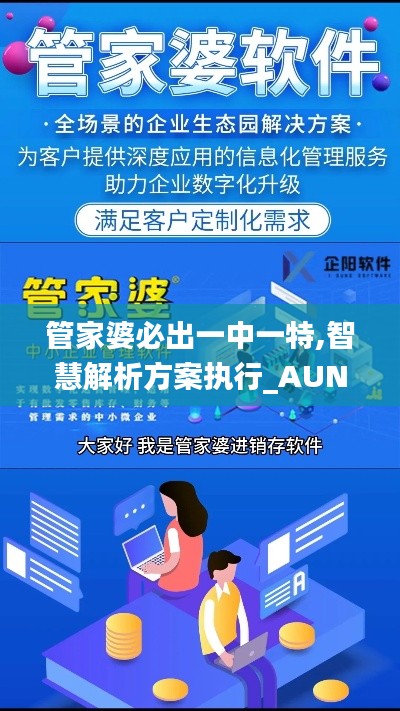 管家婆必出一中一特,智慧解析方案执行_AUN2.63.42家庭版