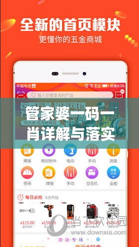 管家婆一码一肖详解与落实，11月19日更新_VXU4.69.94版