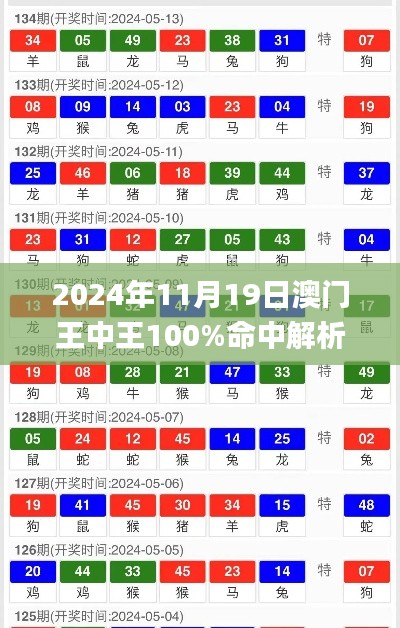 2024年11月19日澳门王中王100%命中解析_YMN8.62.52智力版