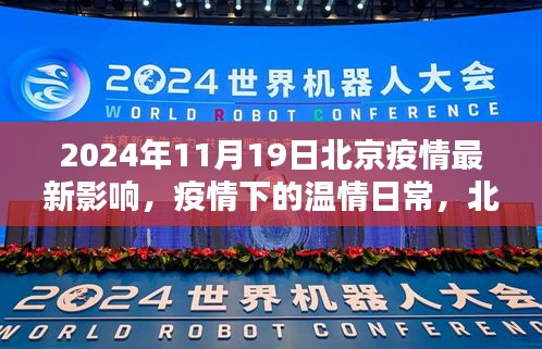 北京疫情下的温情日常与暖阳时光（最新更新至2024年11月）