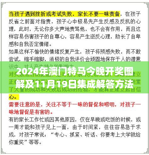 2024年澳门特马今晚开奖图解及11月19日集成解答方法实施_LHG6.62.29旗舰版