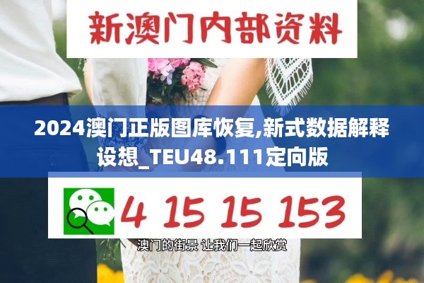 2024澳门正版图库恢复,新式数据解释设想_TEU48.111定向版