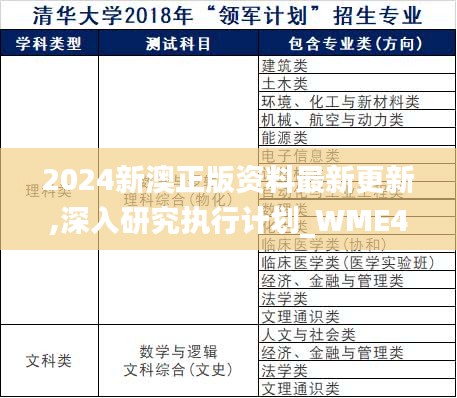 2024新澳正版资料最新更新,深入研究执行计划_WME48.377网络版