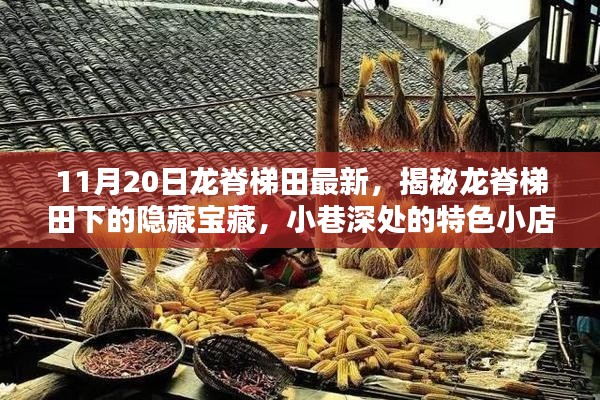 11月20日龙脊梯田最新，揭秘龙脊梯田下的隐藏宝藏，小巷深处的特色小店
