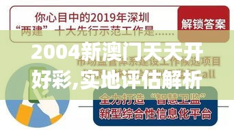 2004新澳门天天开好彩,实地评估解析说明_智慧版CJH8.22