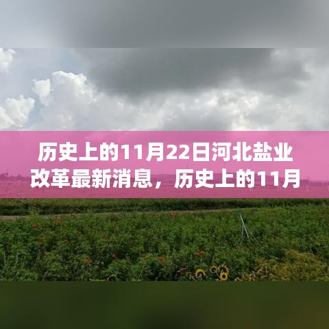 眉清目秀 第4页