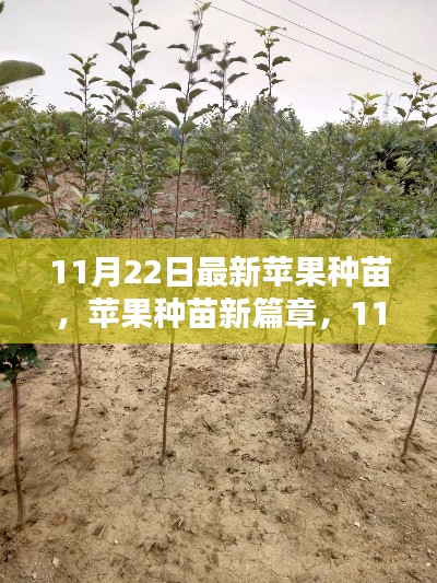 九死一生 第5页