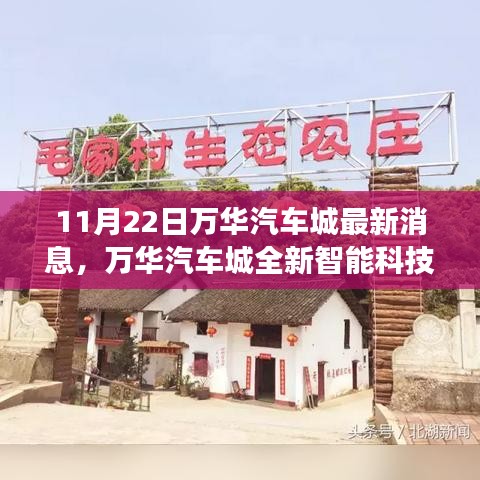 花开无言 第5页