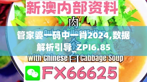 管家婆一码中一肖2024,数据解析引导_ZPI6.85