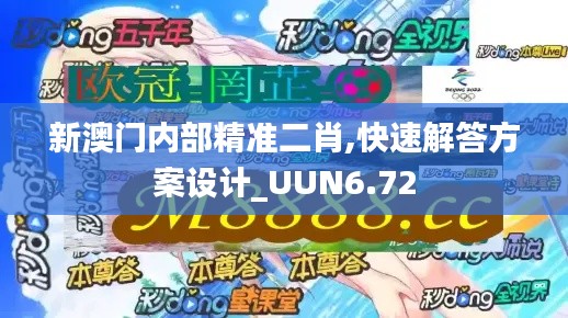 新澳门内部精准二肖,快速解答方案设计_UUN6.72