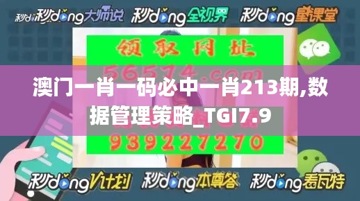 澳门一肖一码必中一肖213期,数据管理策略_TGI7.9