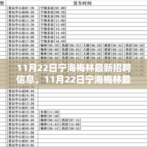11月22日宁海梅林最新招聘信息全面更新及评测报告