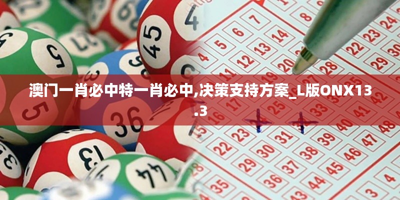 澳门一肖必中特一肖必中,决策支持方案_L版ONX13.3