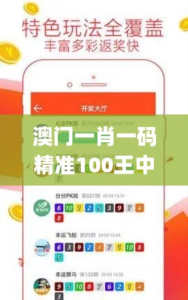 澳门一肖一码精准100王中王,快速问题解答_蓝球版XZH13.18