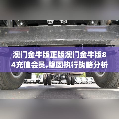 澳门金牛版正版澳门金牛版84充值会员,稳固执行战略分析_原创版TCI13.43