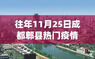 往年11月25日成都郫县疫情回顾与应对指南，有效获取信息和应对策略分享