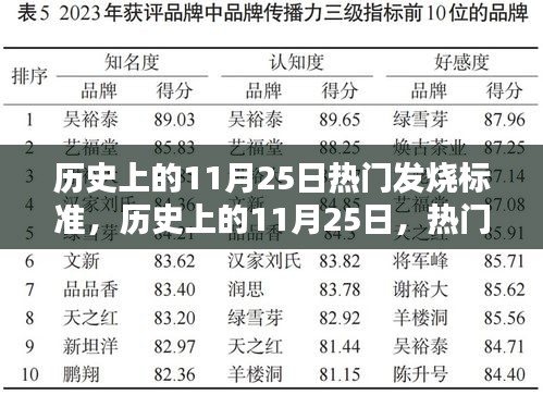 历史上的11月25日，热门发烧标准的深度评测与介绍
