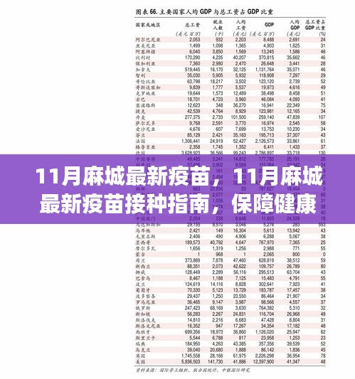 麻城最新疫苗接种指南，共筑健康防线，迎接11月最新疫苗