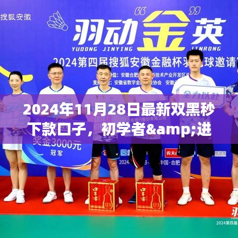 2024年最新双黑秒下款口子操作指南，初学者与进阶用户必读