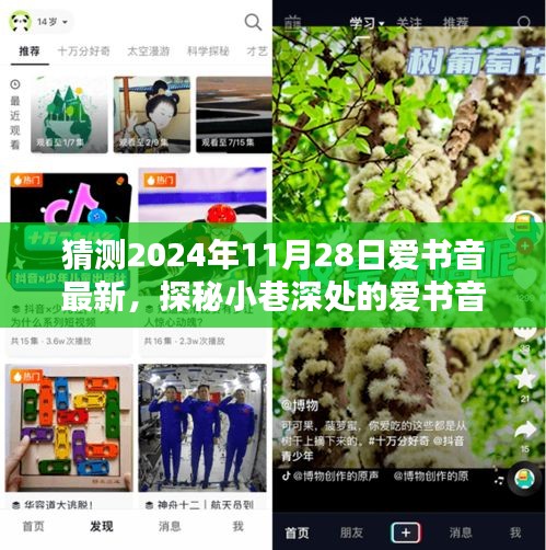 熊经鸟伸 第5页