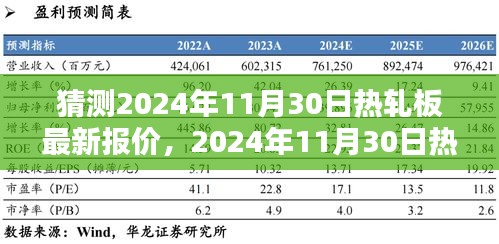 2024年11月30日热轧板最新报价预测及分析，深度探讨与个人观点