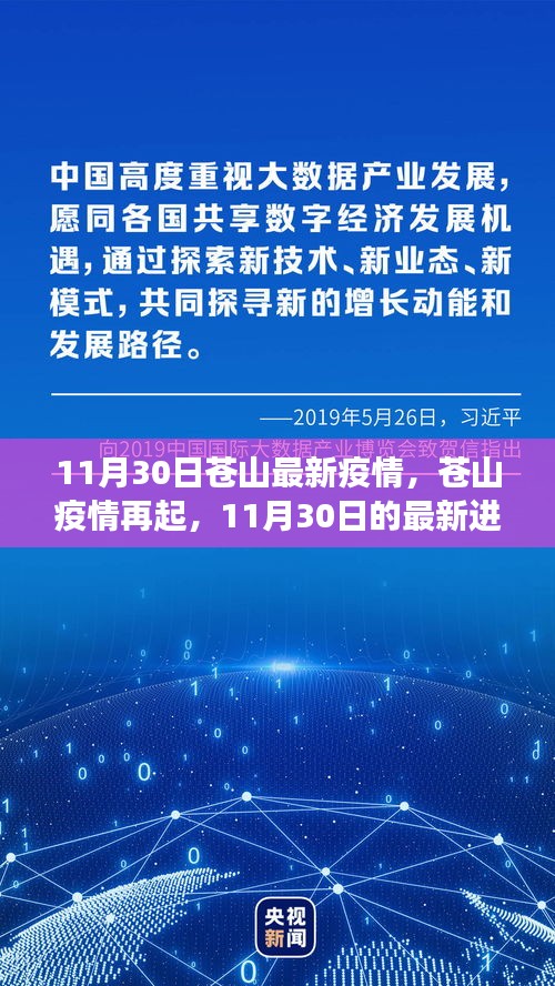苍山疫情最新进展，11月30日的影响与洞察