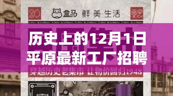 历史上的12月1日，平原新工厂女工启航新征程，招聘女工跨越时空的记录