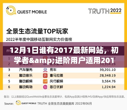 初学者与进阶用户指南，探索与入门优质资源网站的探索之旅