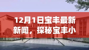 探秘宝丰小巷深处的独特风味，一家隐藏版特色小店揭秘的独家新闻故事（12月最新更新）