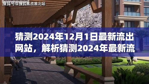 解析猜测，未来网站发展趋势与最新流出网站的展望（2024年12月）
