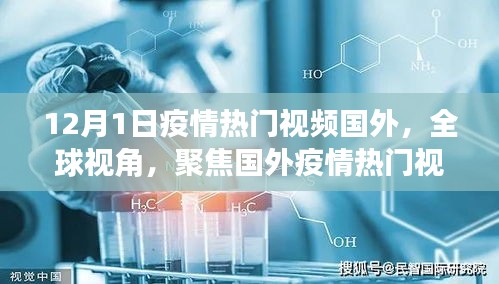 国外疫情热门视频特别报道，全球视角聚焦国外疫情动态——12月1日特别报道