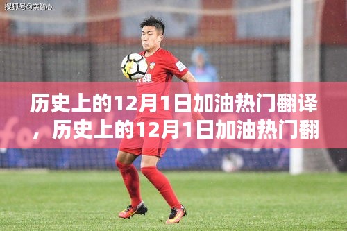 全面评测