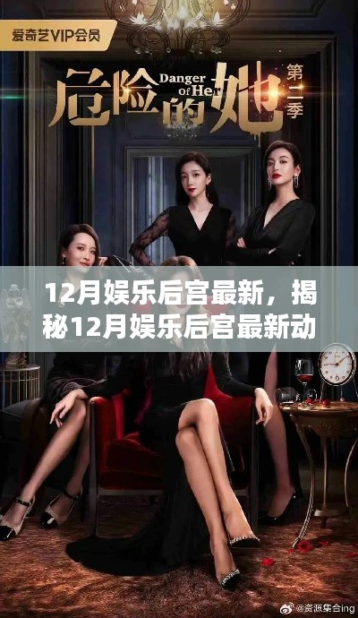 揭秘，12月娱乐后宫最新动态三大看点大揭秘