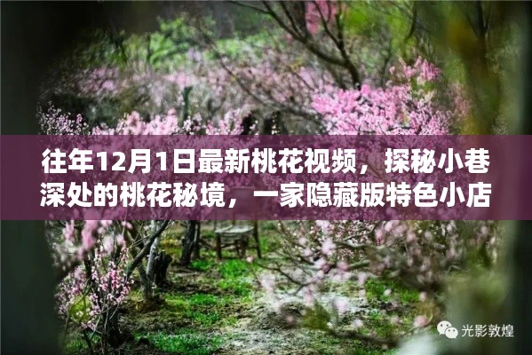 探秘桃花秘境，隐藏版特色小店带你领略最新桃花视频的魅力时光