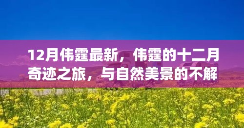 伟霆的十二月奇迹之旅，与自然美景的不解之缘，启程寻找内心平静的旅程