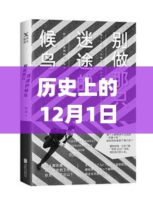 刘同热门书籍引领的12月1日心灵之旅，探寻自然与内心宁静的力量