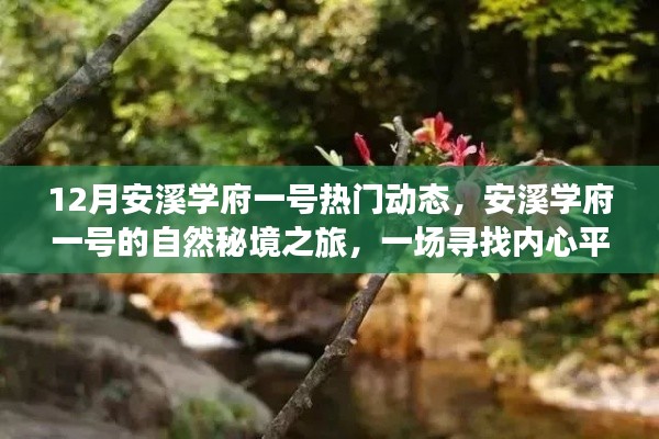 安溪学府一号十二月自然秘境探险之旅，寻找内心平静的奇妙旅程