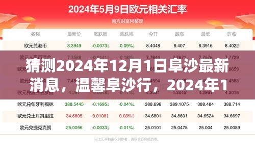 温馨阜沙行，揭秘2024年12月1日的奇妙时光最新消息