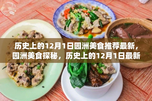 历史上的12月1日园洲美食探秘与最新推荐制作指南