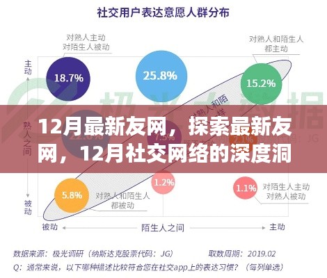 12月最新友网深度洞察，探索社交网络新动态