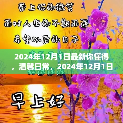 2024年12月1日的特殊懂得，温馨日常的最新理解