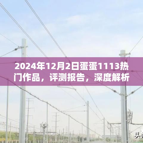 2024年12月2日蛋蛋1113热门作品，评测报告，深度解析蛋蛋1113热门作品在2024年12月2日的独特魅力